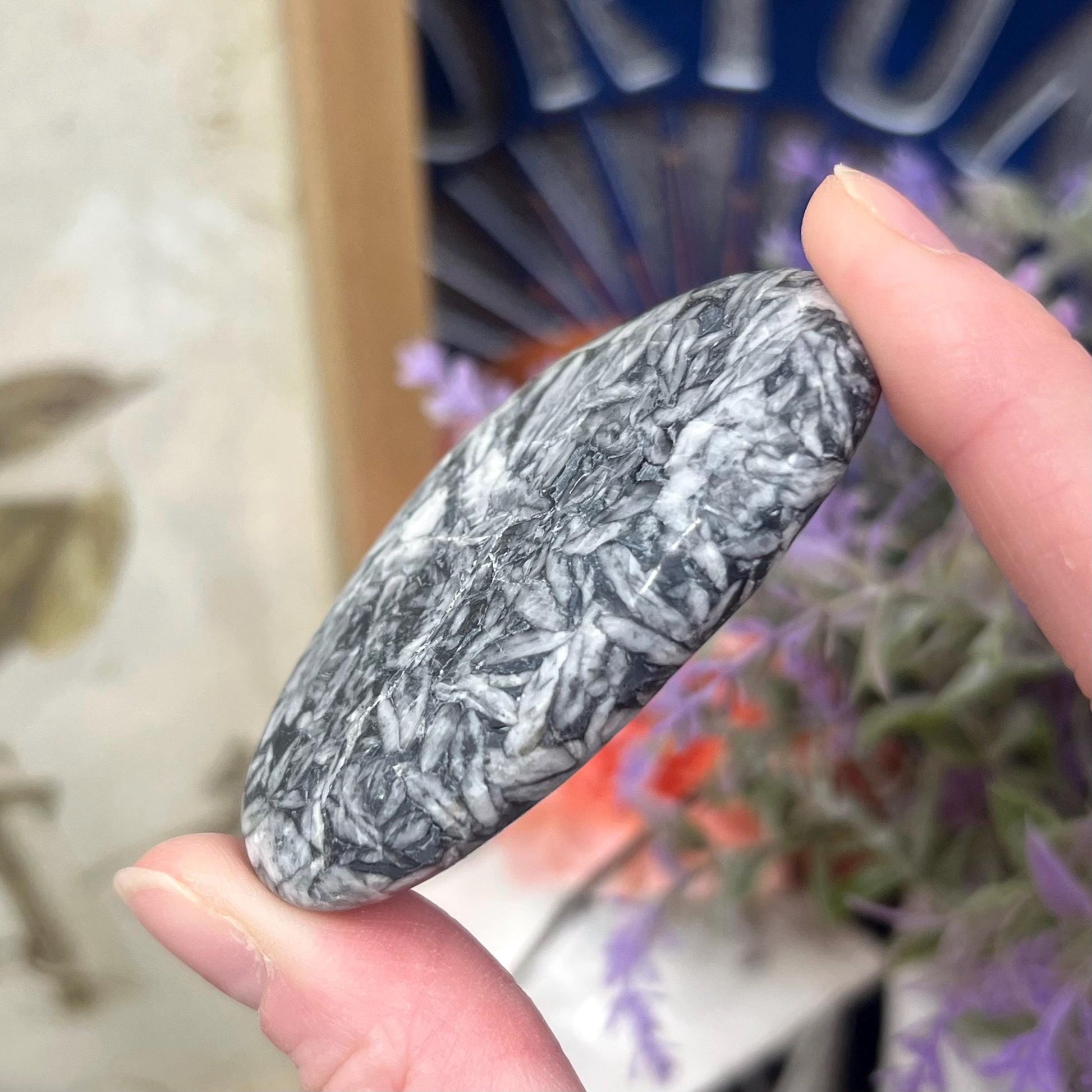 Rare Pinolite Palm Stone | Pinolith Palm