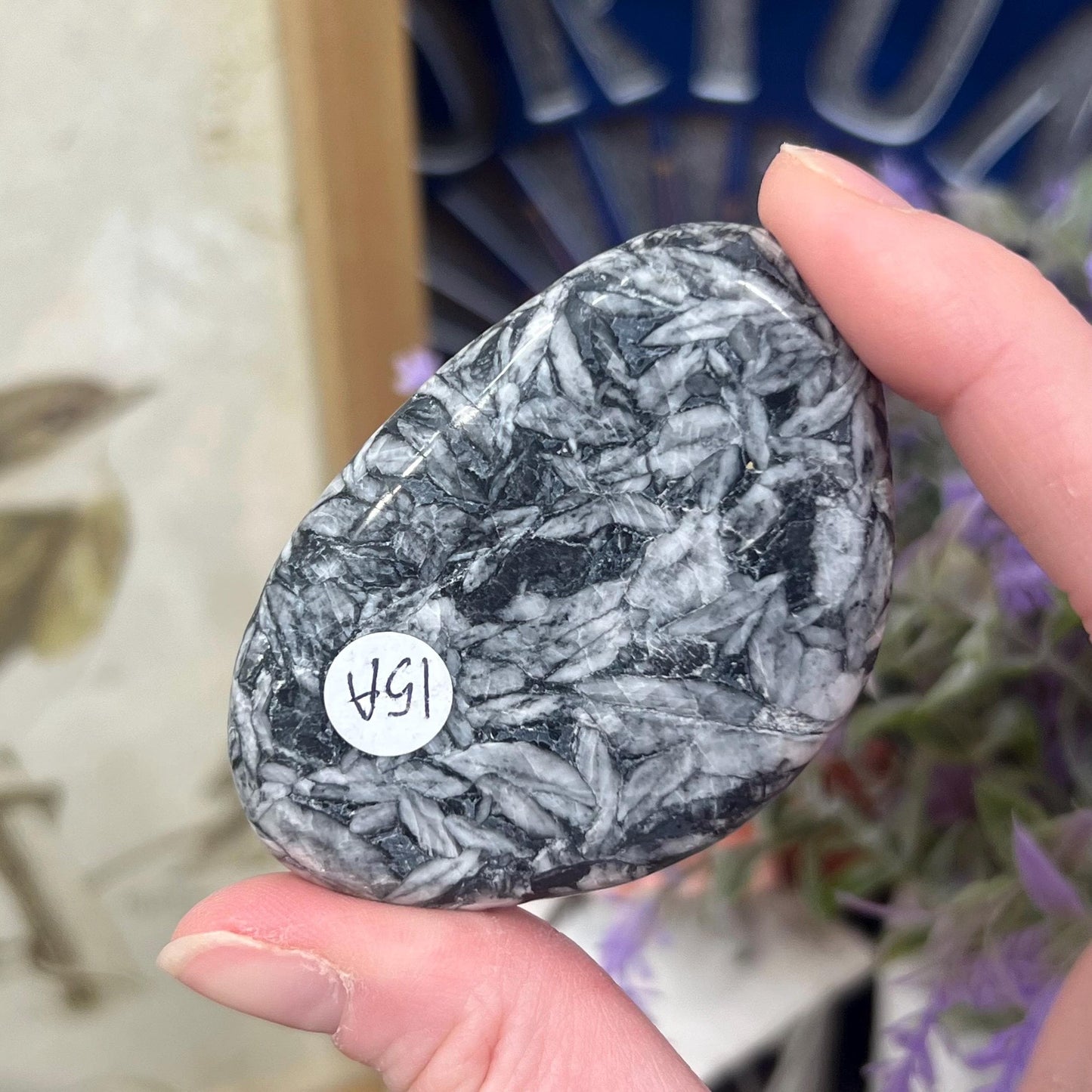 Rare Pinolite Palm Stone | Pinolith Palm