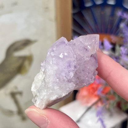 High Quality Spirit Quartz | Spirit Amethyst | Cactus Quartz