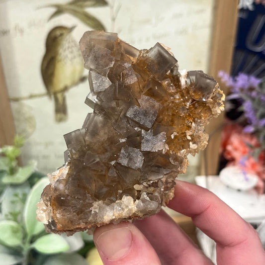 Unique Glassy Clear Fluorite Specimen from Pakistan