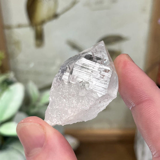 Himalayan Quartz Point | Water Clear Formations with Green Chlorite and Anatase