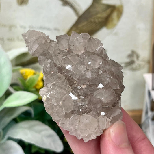 Smoky Quartz Specimen from Morocco | Mixed Mineral Specimen | Moroccan Fluorite