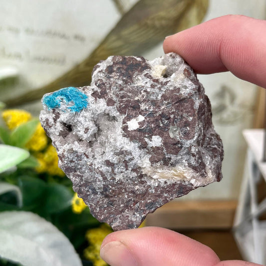 Cavansite on Stilbite | Raw Stilbite | Cavansite Specimen