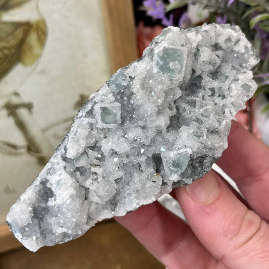 Cubic Fluorite with Quartz Specimen | Sugar Fluorite | Sugar Druzy | Light Green Fluorite Specimen