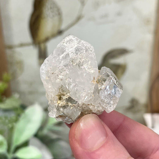 Himalayan Quartz Cluster with Water Clear Formations and Green Chlorite