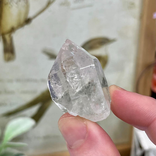 Himalayan Quartz Point with Chlorite and Anatase