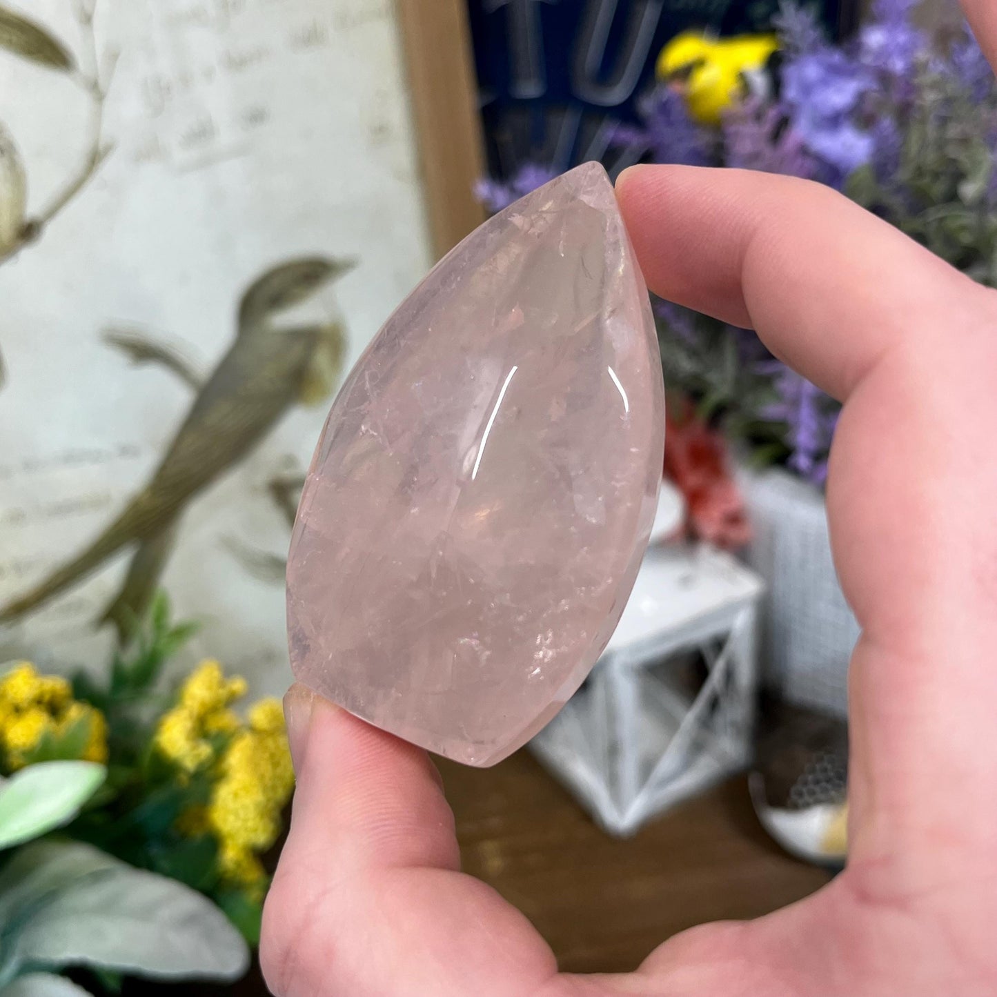 Rose Quartz Freeform | High Quality