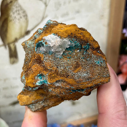Rosasite with Calcite from La Ojuela Mine, Mexico