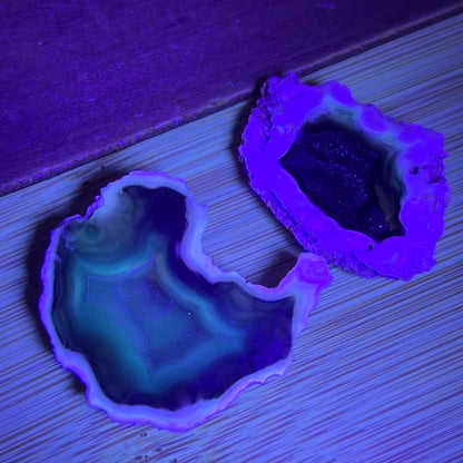 Tiny High Quality Agatized Coral Pair | Florida Fossilized Coral | UV Reactive Coral Fossil | Coral Geode | Black Agate | Black Coral