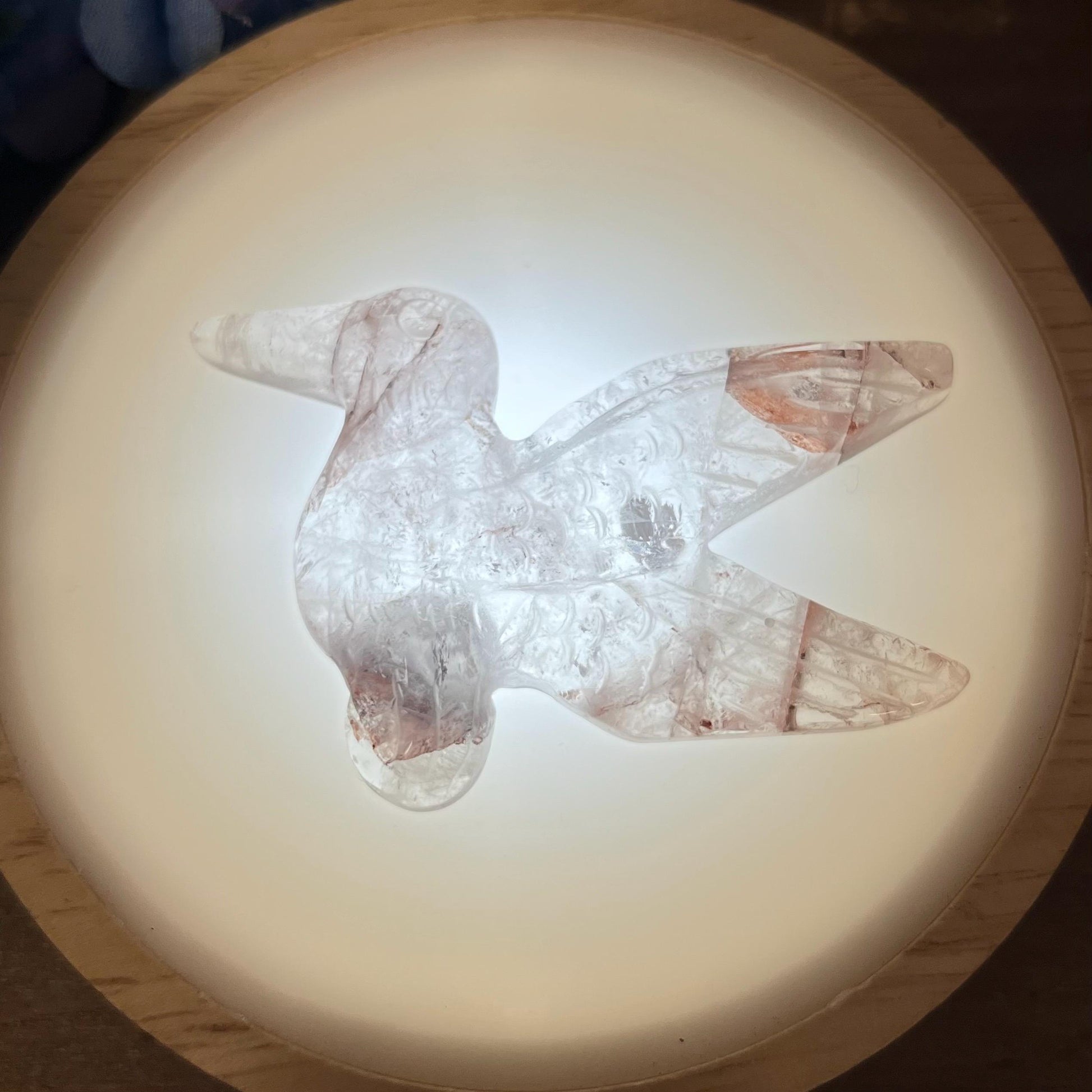 Cute Fire Quartz Hummingbird | Crystal Bird Carving