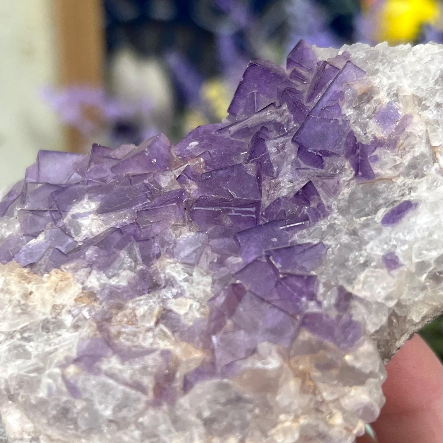 Moroccan Purple Fluorite Cluster | Cubic Fluorite Specimen