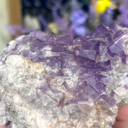 Moroccan Purple Fluorite Cluster | Cubic Fluorite Specimen