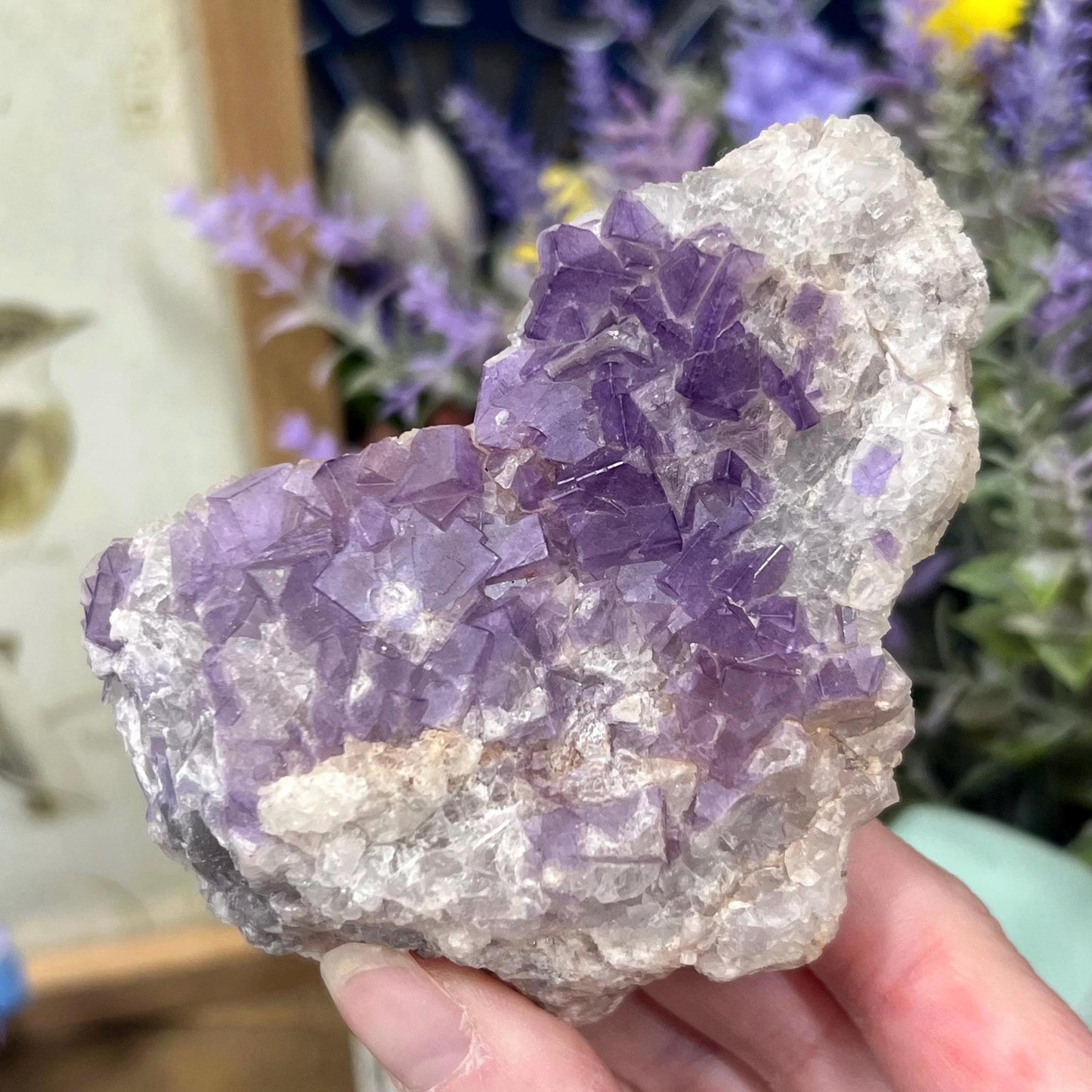 Moroccan Purple Fluorite Cluster | Cubic Fluorite Specimen