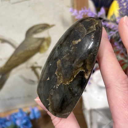 Small Purple Labradorite Freeform | Silver Labradorite | Rainbow Lab Freeform