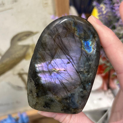Small Purple Labradorite Freeform | Silver Labradorite | Rainbow Lab Freeform