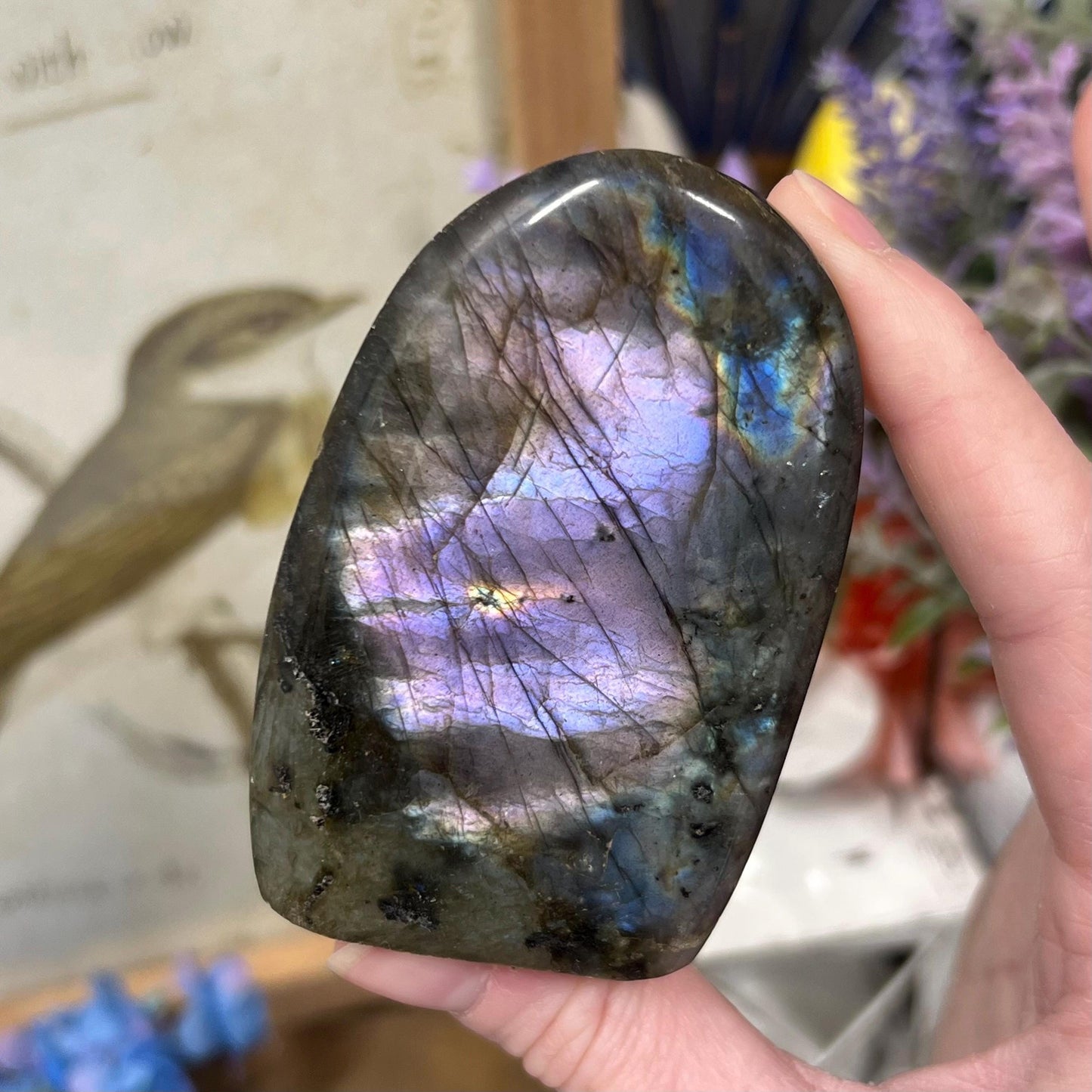 Small Purple Labradorite Freeform | Silver Labradorite | Rainbow Lab Freeform