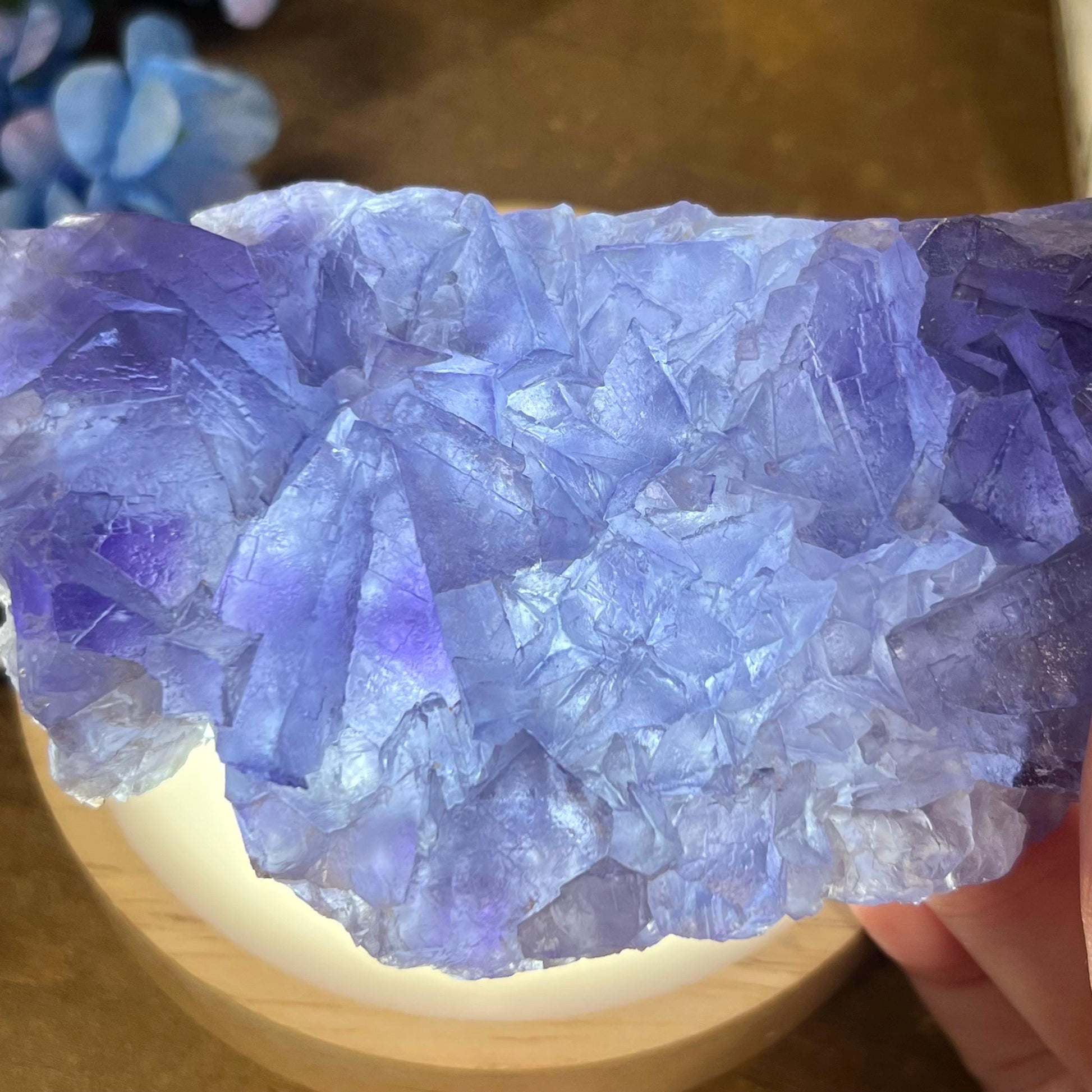 Purple and Blue Fluorite from Mongolia | Mongolian Fluorite Cluster | Cubic Fluorite