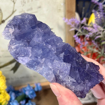 Purple and Blue Fluorite from Mongolia | Mongolian Fluorite Cluster | Cubic Fluorite