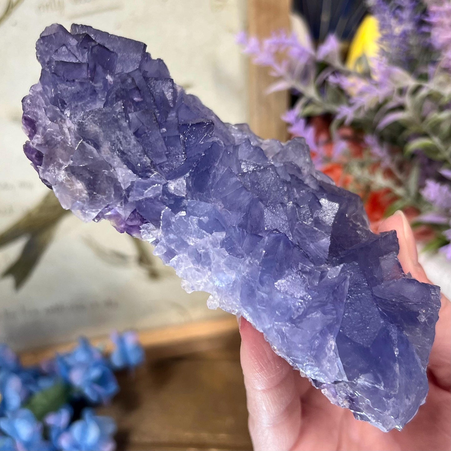 Purple and Blue Fluorite from Mongolia | Mongolian Fluorite Cluster | Cubic Fluorite