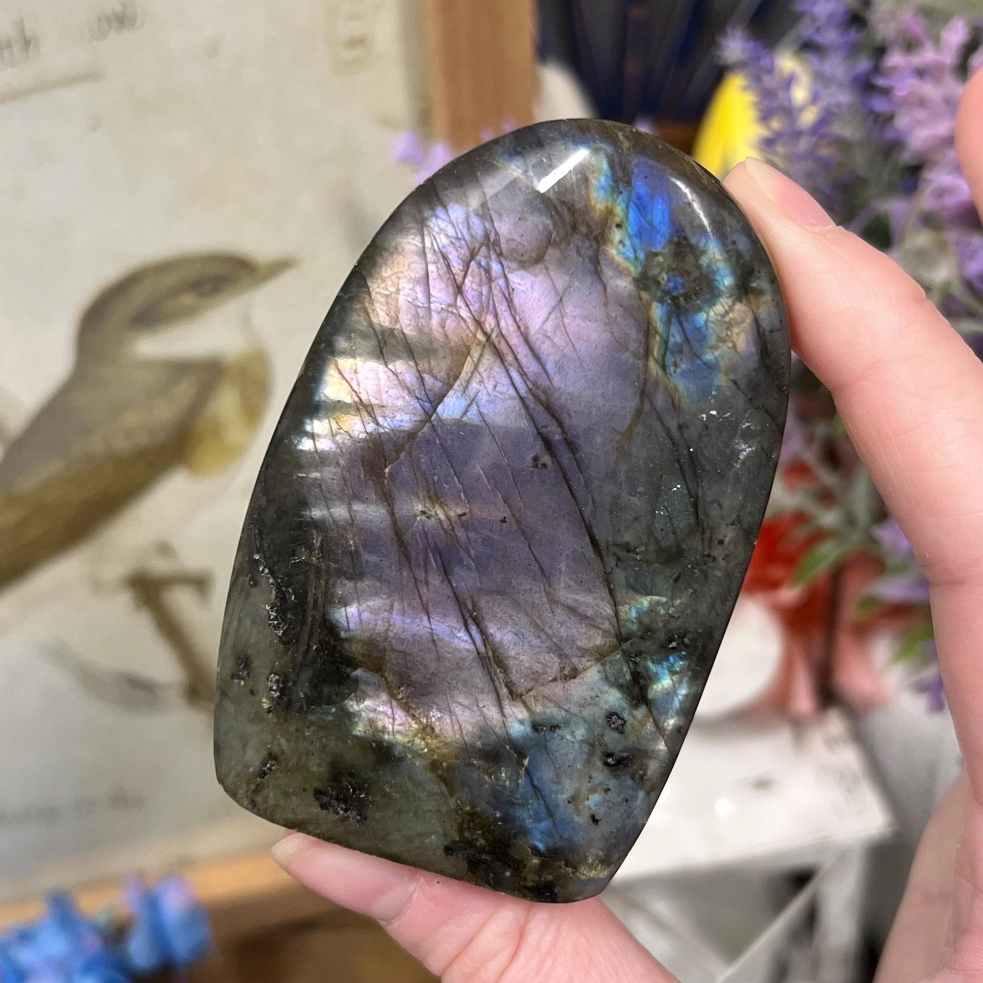 Small Purple Labradorite Freeform | Silver Labradorite | Rainbow Lab Freeform