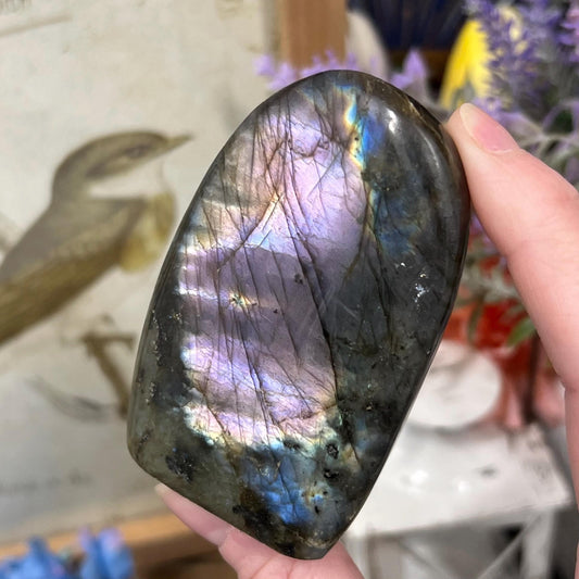 Small Purple Labradorite Freeform | Silver Labradorite | Rainbow Lab Freeform