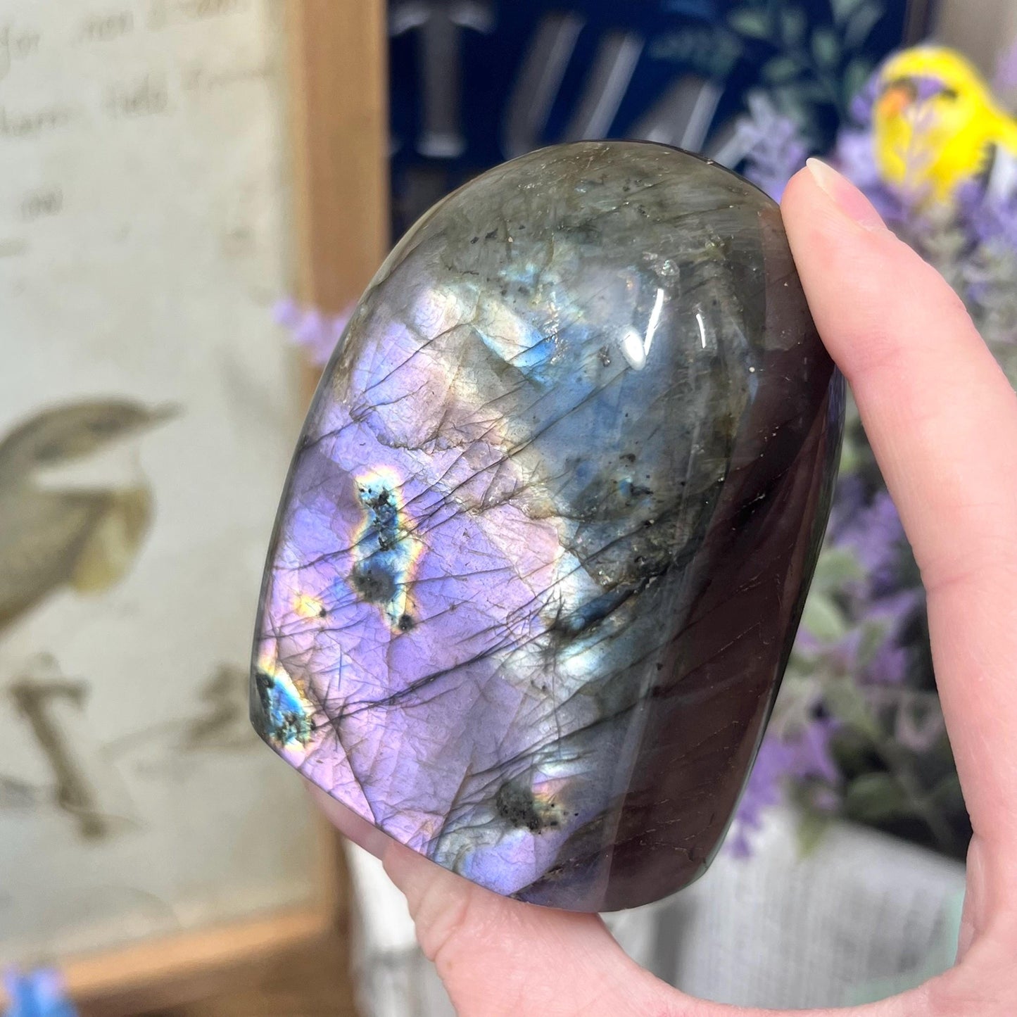 Purple Labradorite Freeform | Purple Lab Freeform | Sparkly Labradorite