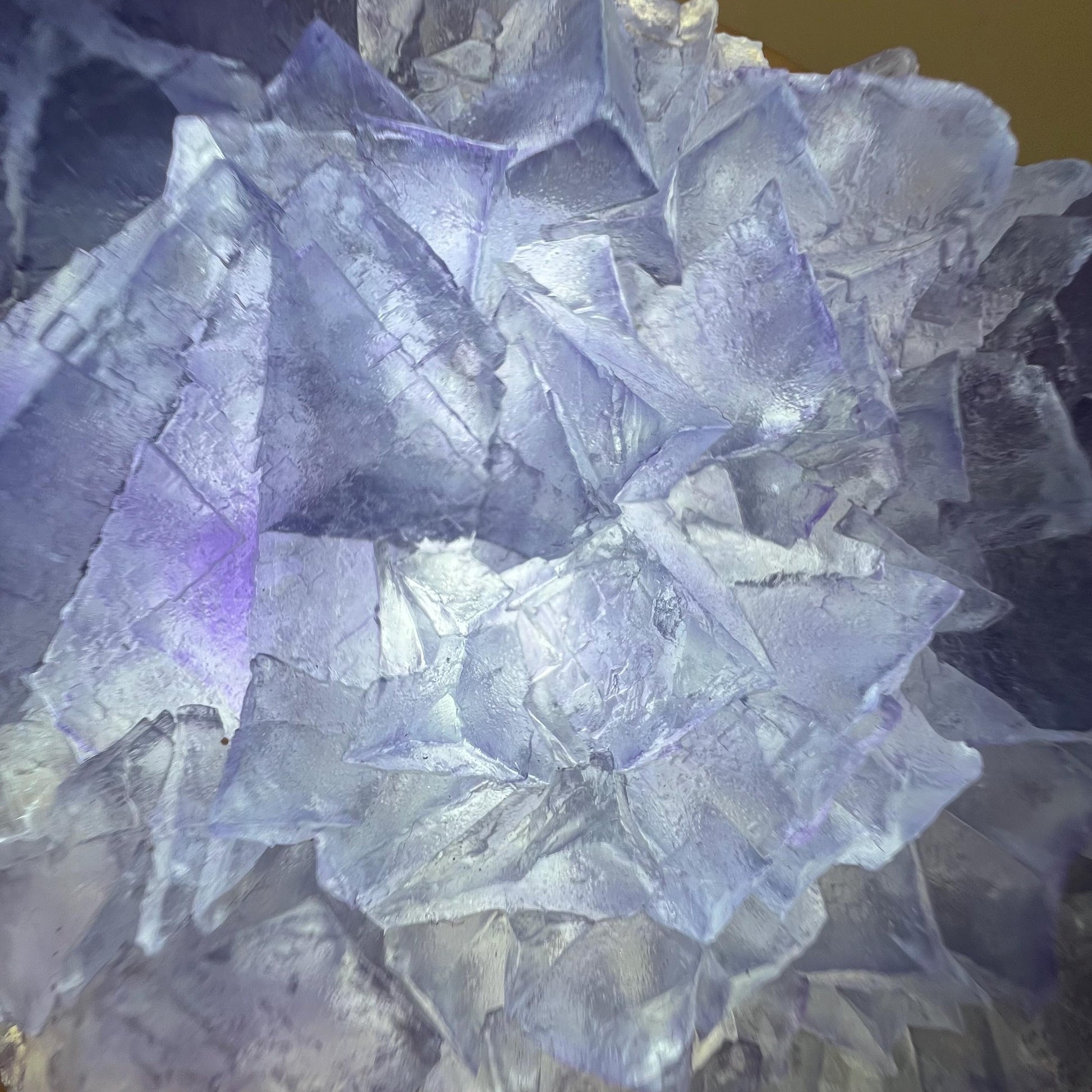 Purple and Blue Fluorite from Mongolia | Mongolian Fluorite Cluster | Cubic Fluorite
