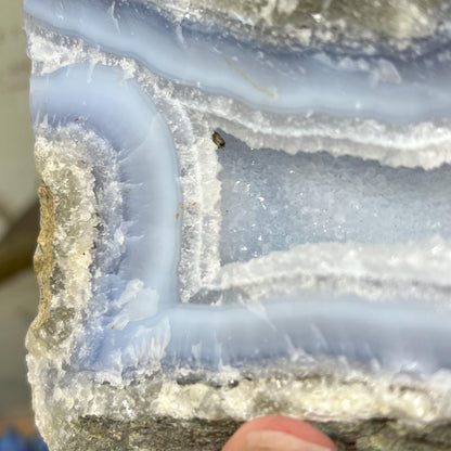 XL High Quality Raw Blue Lace Agate Geode | Druzy Blue Lace Agate