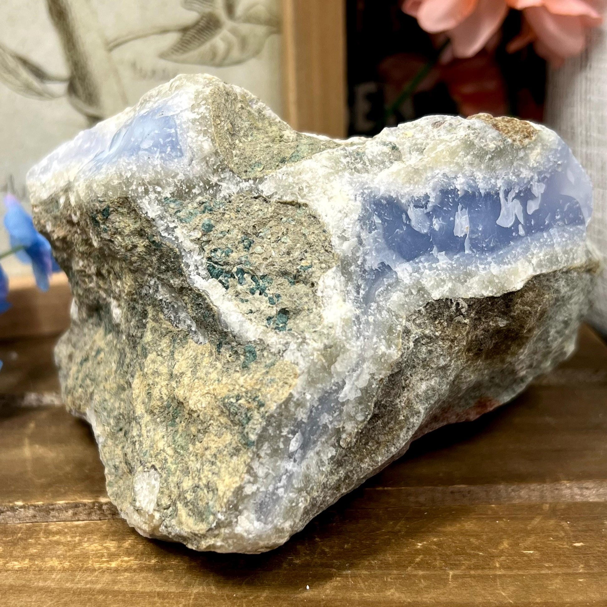XL High Quality Raw Blue Lace Agate Geode | Druzy Blue Lace Agate