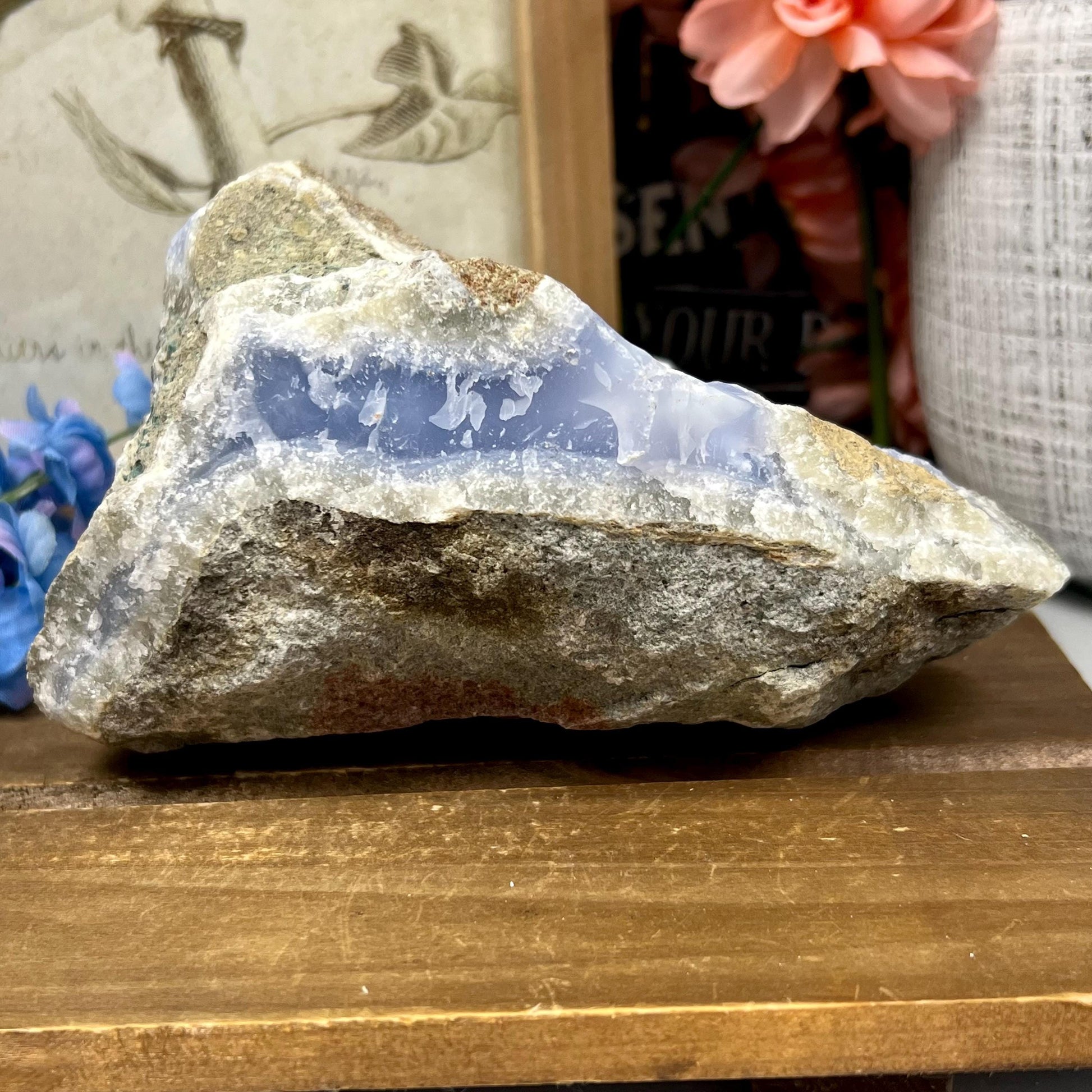 XL High Quality Raw Blue Lace Agate Geode | Druzy Blue Lace Agate