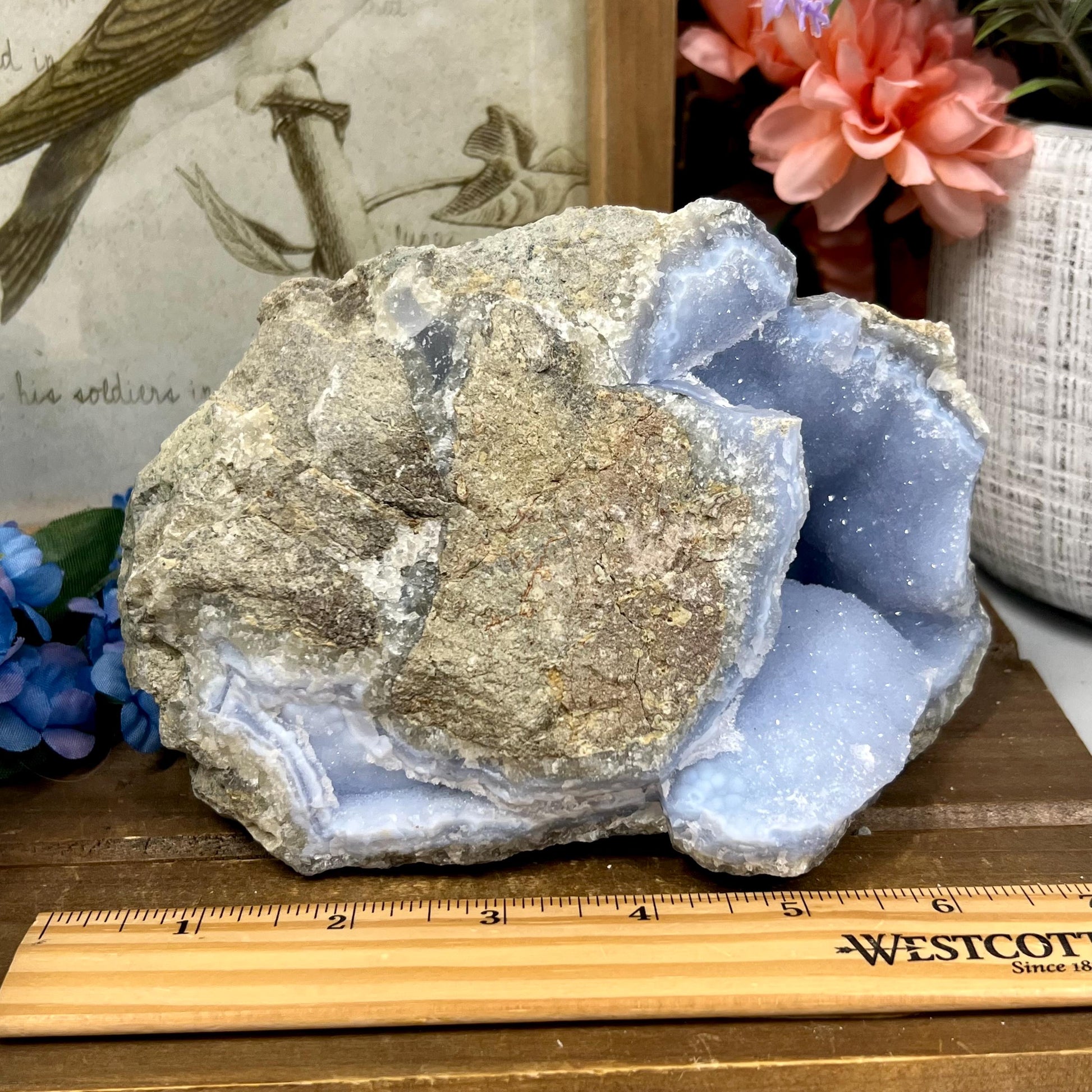 XXL High Quality Raw Blue Lace Agate Geode | Druzy Blue Lace Agate