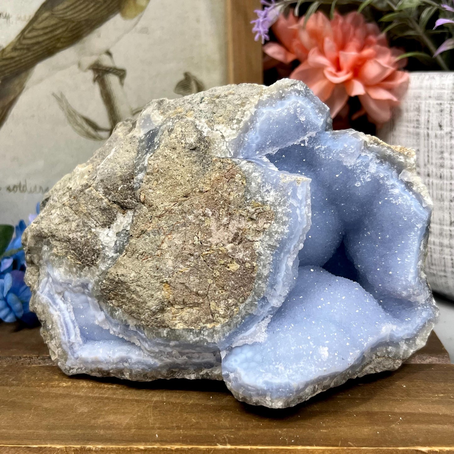 XXL High Quality Raw Blue Lace Agate Geode | Druzy Blue Lace Agate