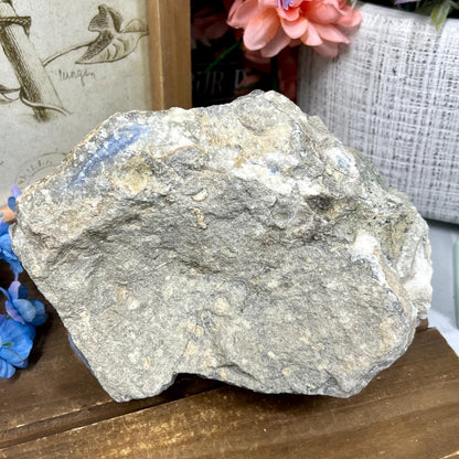 XXL High Quality Raw Blue Lace Agate Geode | Druzy Blue Lace Agate