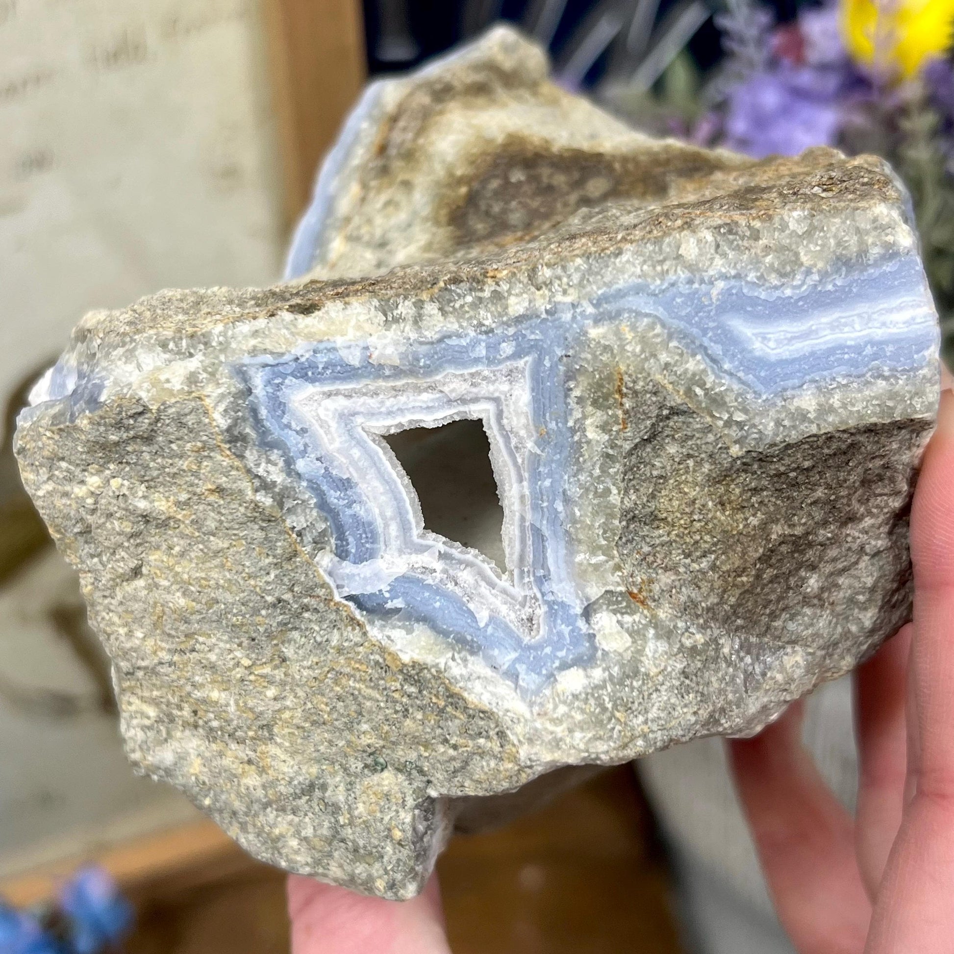 XL High Quality Raw Blue Lace Agate Geode | Druzy Blue Lace Agate