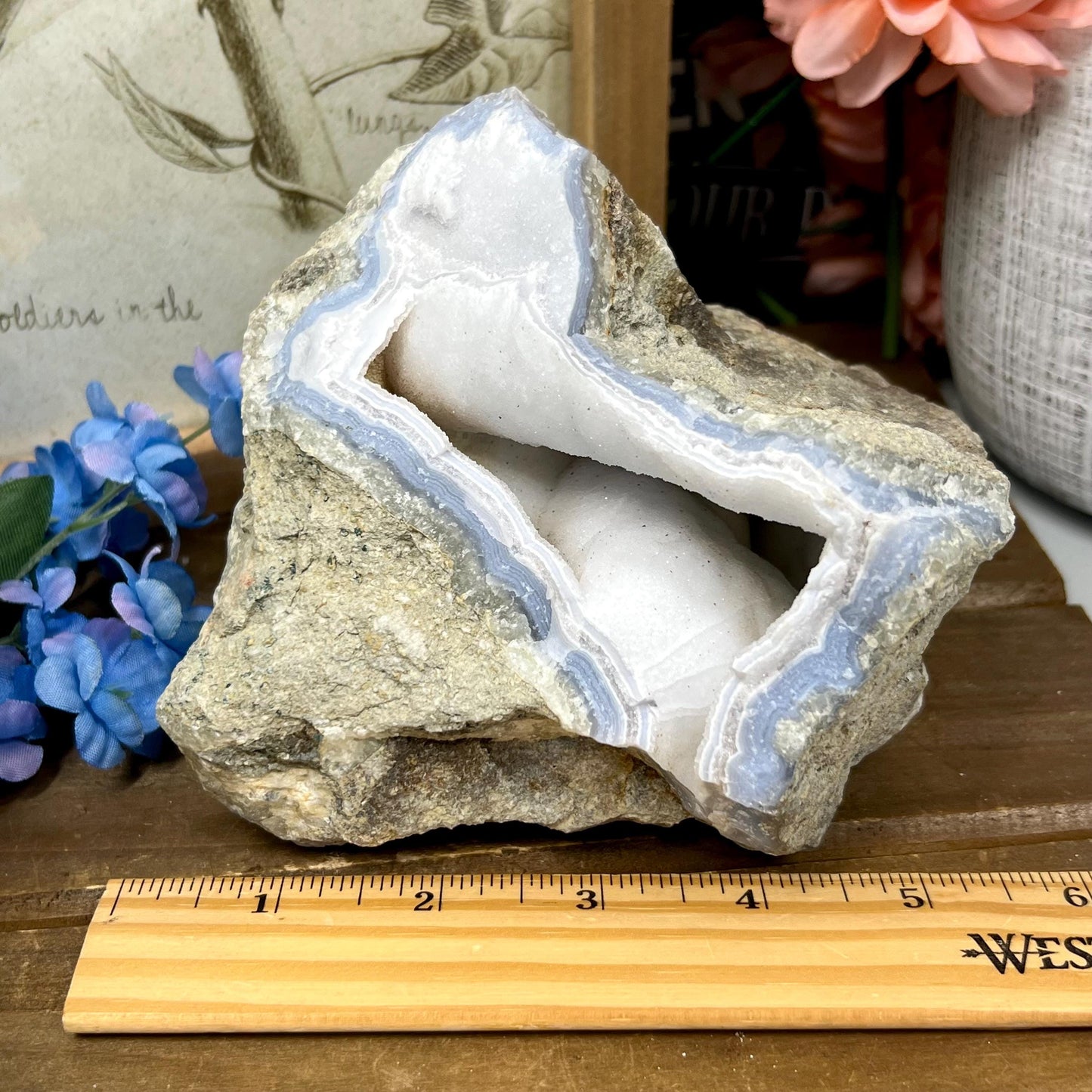 XL High Quality Raw Blue Lace Agate Geode | Druzy Blue Lace Agate