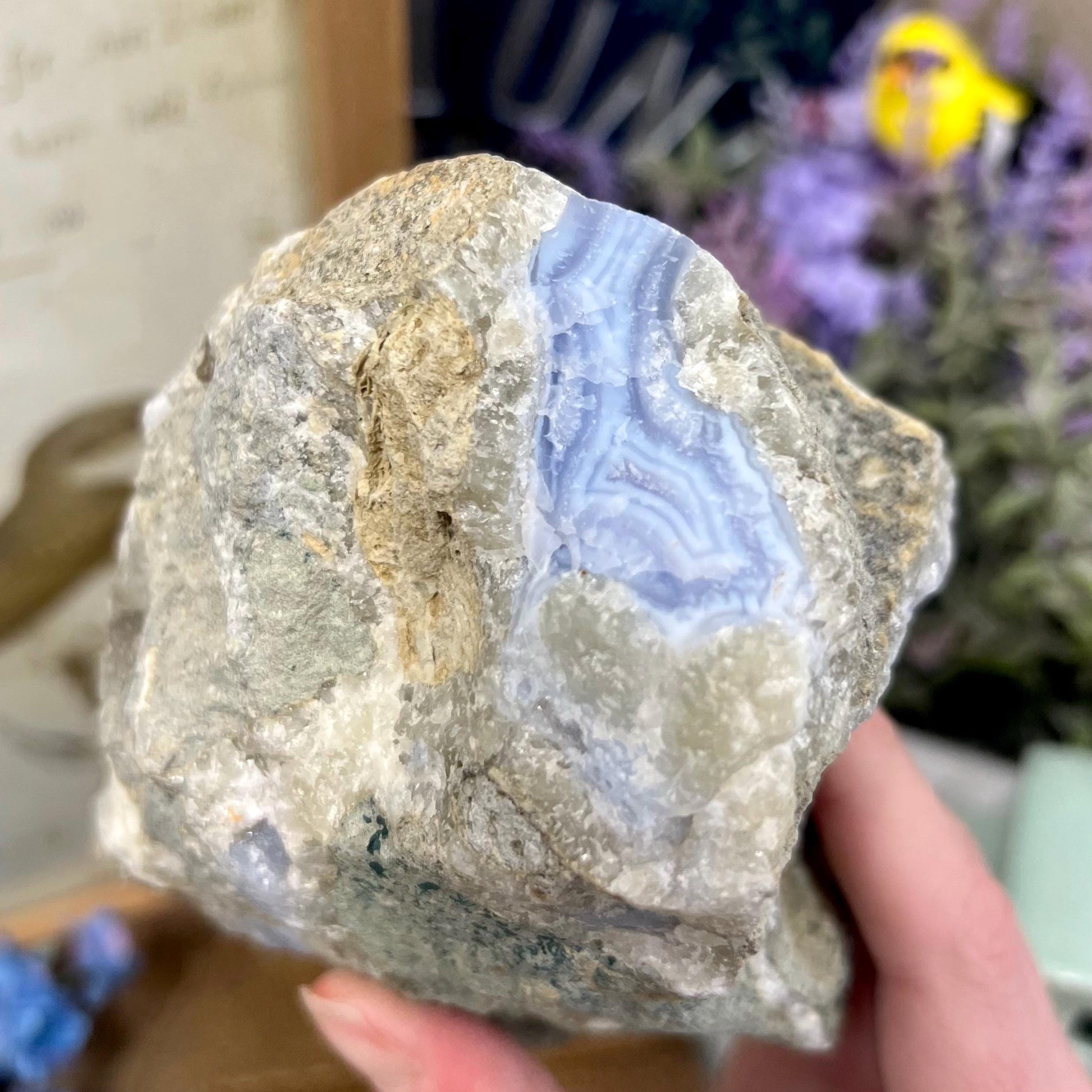 Large High Quality Raw Blue Lace Agate Geode | Druzy Blue Lace Agate