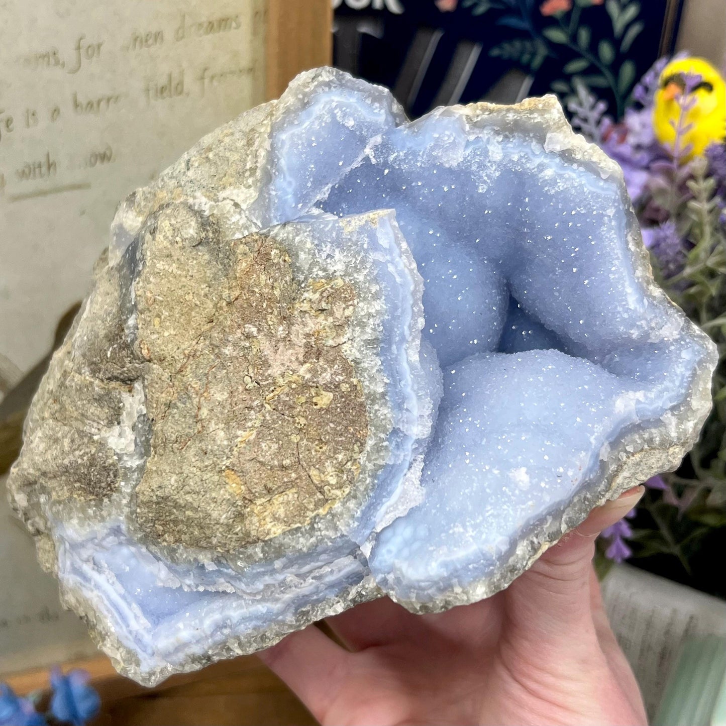 XXL High Quality Raw Blue Lace Agate Geode | Druzy Blue Lace Agate