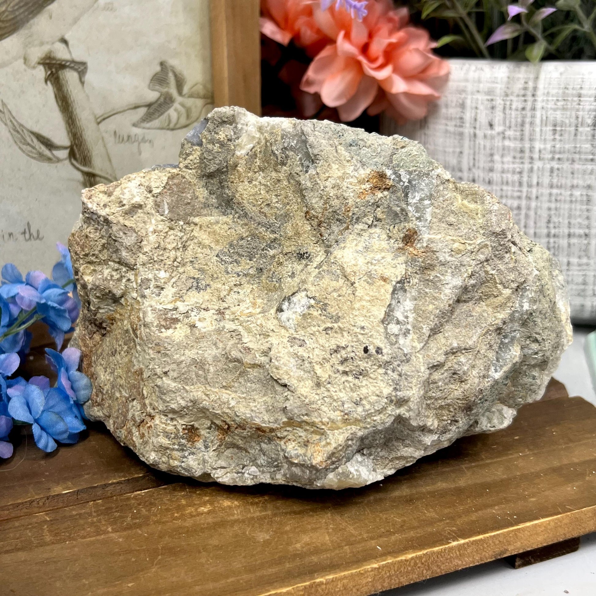 XXL High Quality Raw Blue Lace Agate Geode | Druzy Blue Lace Agate