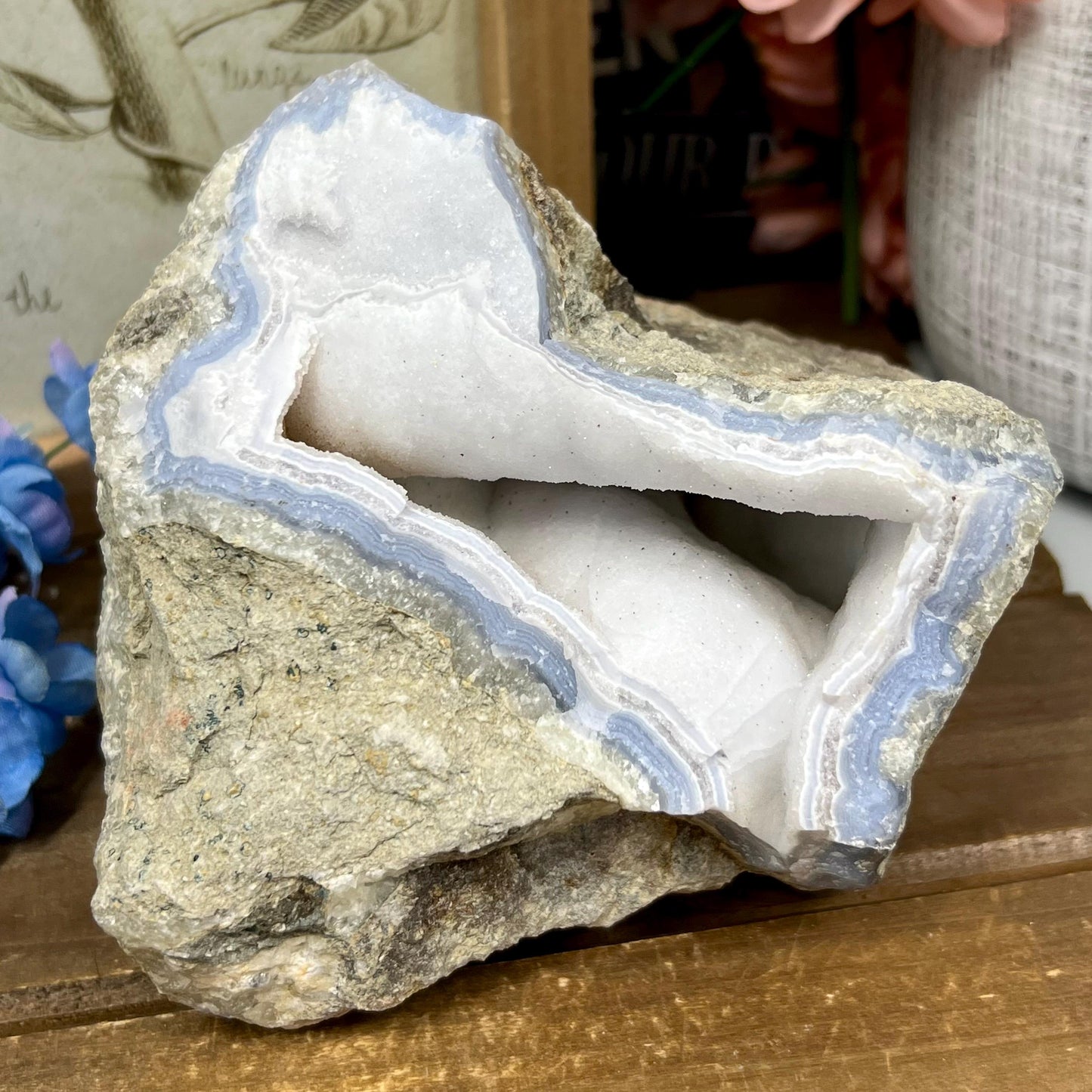 XL High Quality Raw Blue Lace Agate Geode | Druzy Blue Lace Agate