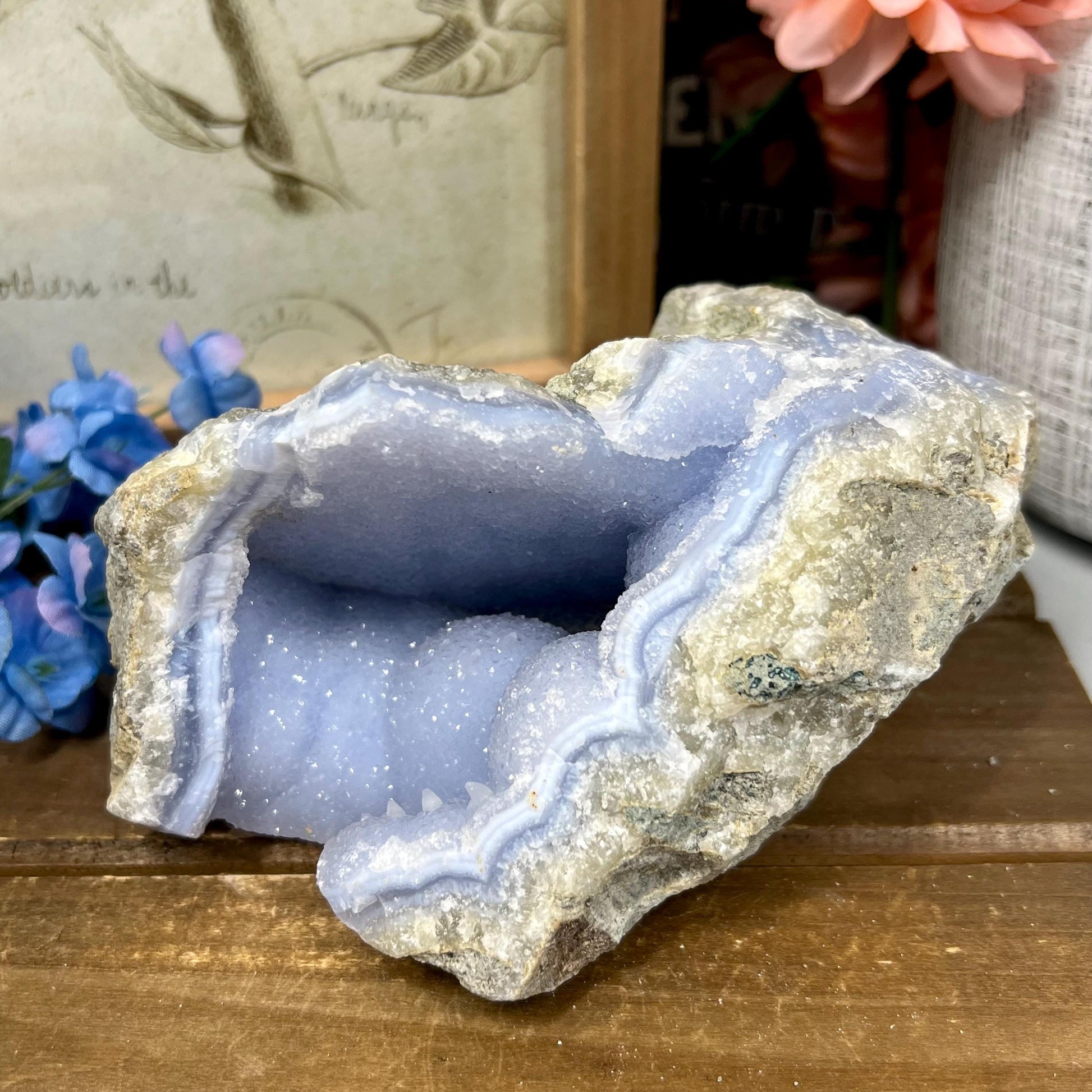 Large High Quality Raw Blue Lace Agate Geode | Druzy Blue Lace Agate