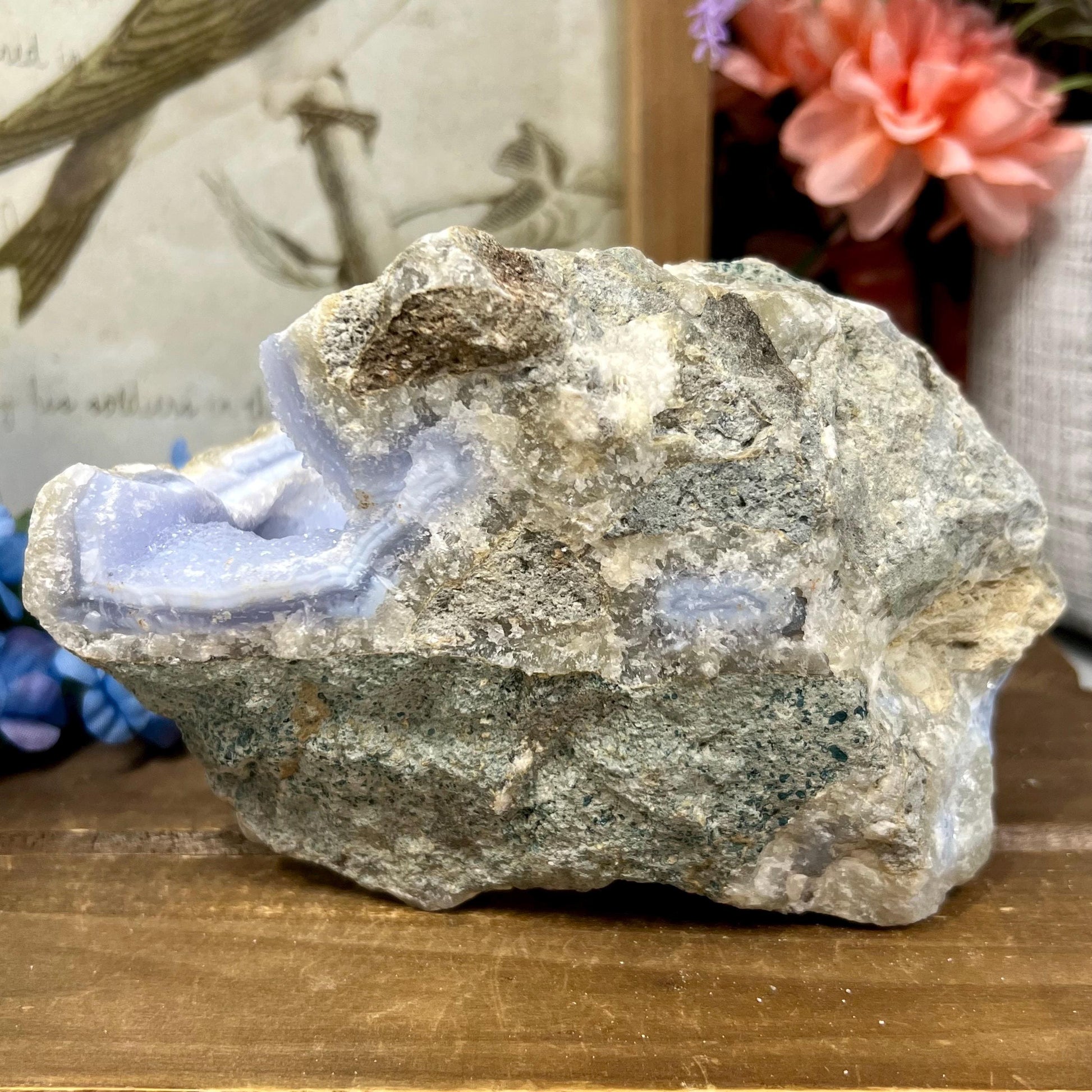 Large High Quality Raw Blue Lace Agate Geode | Druzy Blue Lace Agate