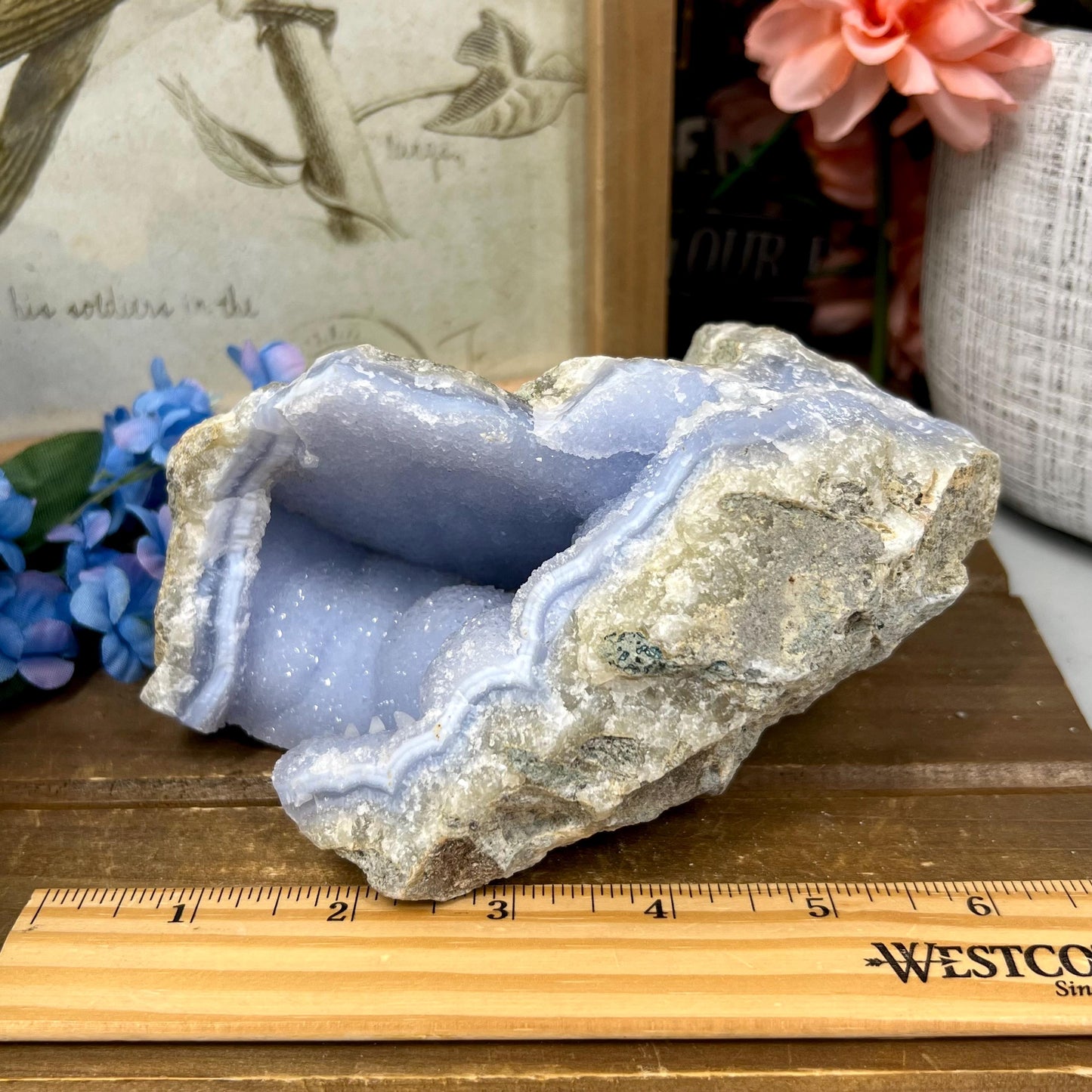 Large High Quality Raw Blue Lace Agate Geode | Druzy Blue Lace Agate