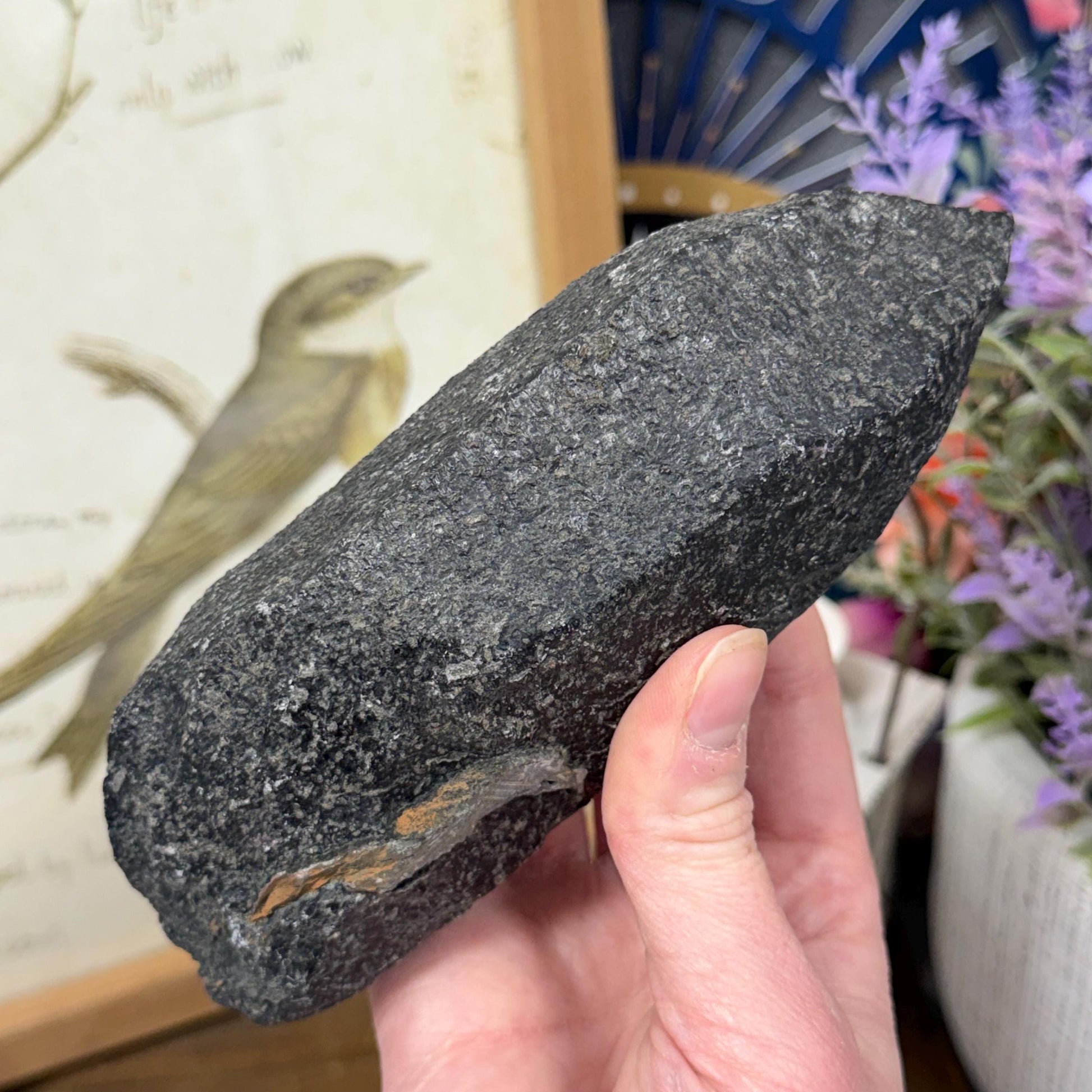 Rare Large Basalt Quartz Pseudomorph from Minas Gerais, Brazil | Black Quartz | Quartz Specimen | Mineral Pseudomorph