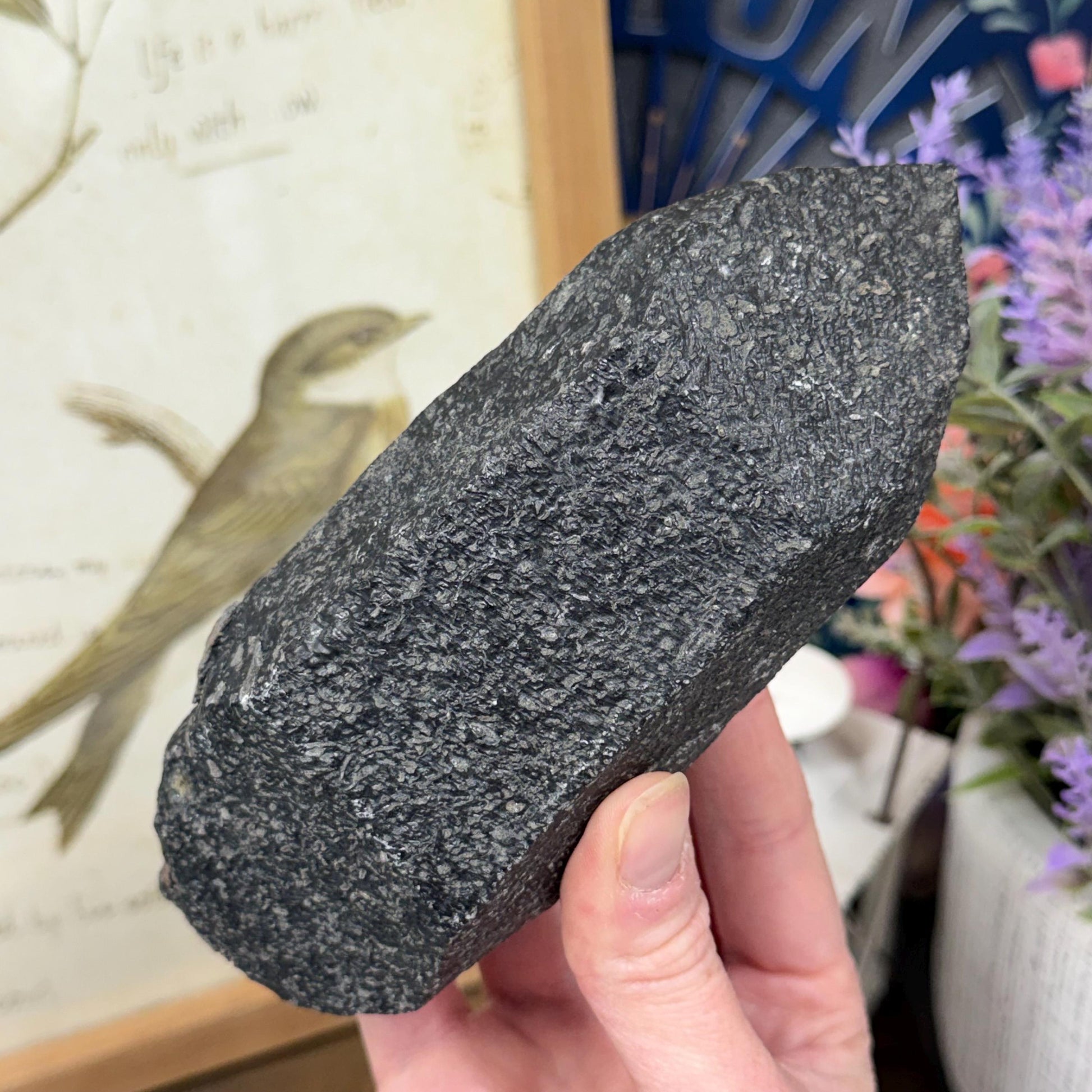 Rare Large Basalt Quartz Pseudomorph from Minas Gerais, Brazil | Black Quartz | Quartz Specimen | Mineral Pseudomorph