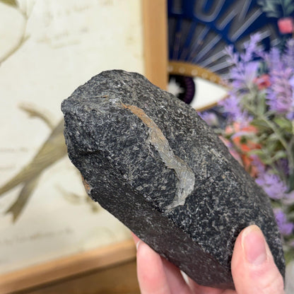 Rare Large Basalt Quartz Pseudomorph from Minas Gerais, Brazil | Black Quartz | Quartz Specimen | Mineral Pseudomorph
