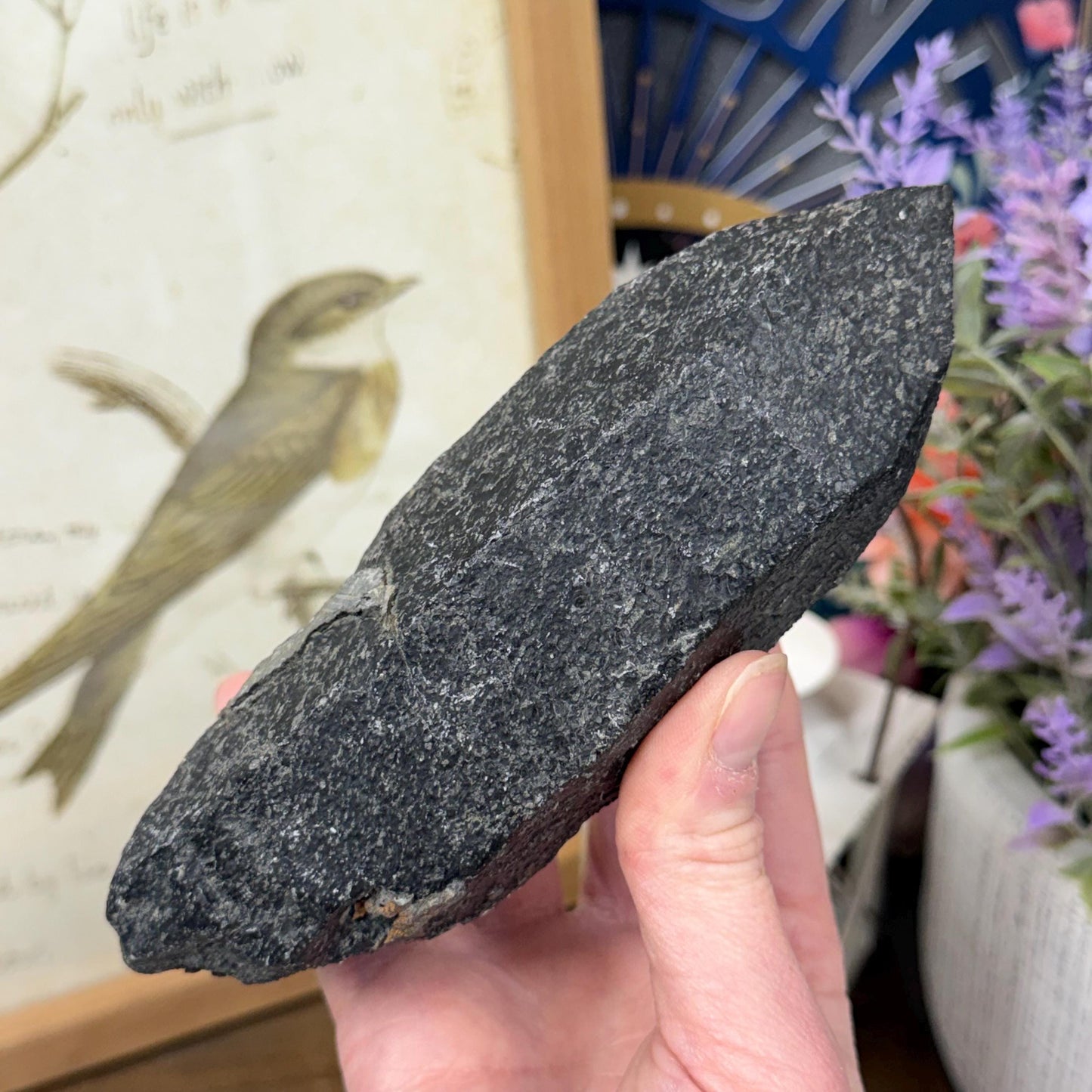 Rare Large Basalt Quartz Pseudomorph from Minas Gerais, Brazil | Black Quartz | Quartz Specimen | Mineral Pseudomorph