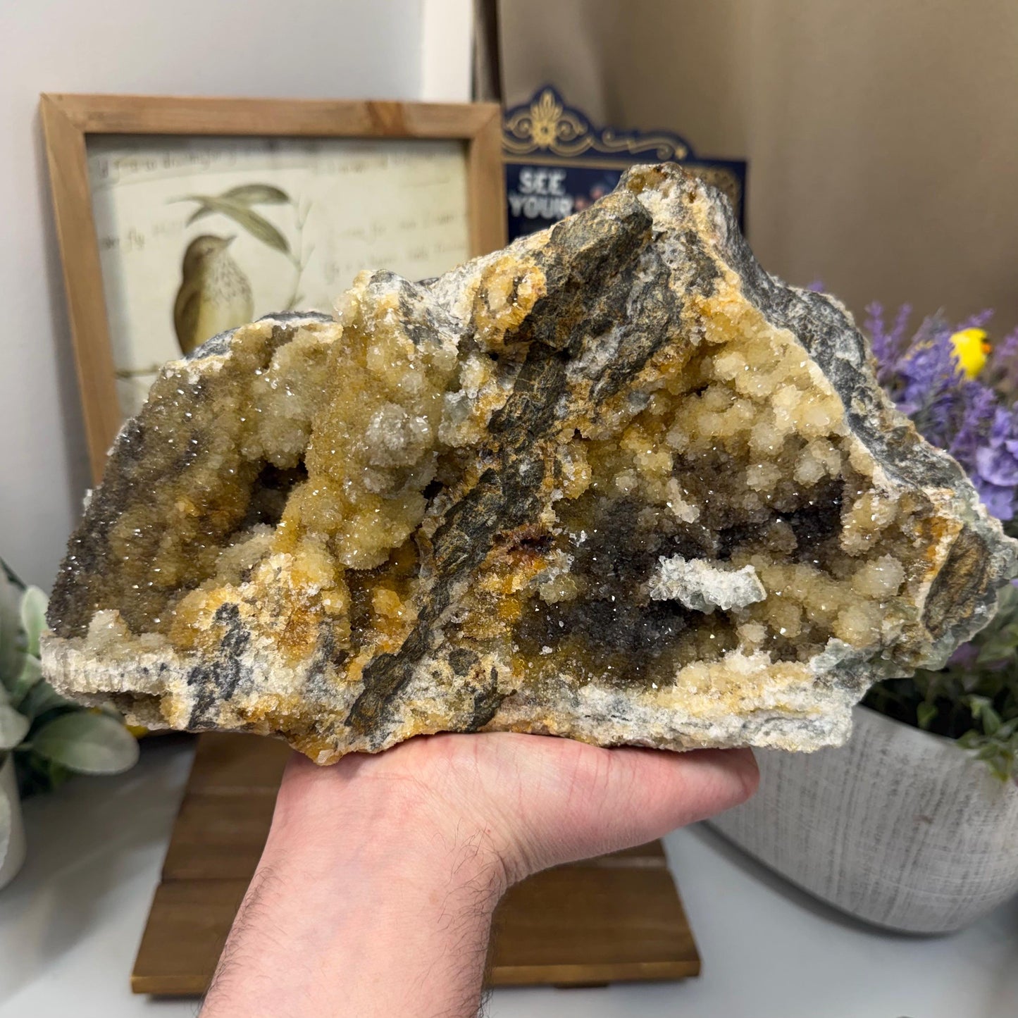 XL Cubic Fluorite with Quartz Druzy Overgrowth | Cubic Fluorite & Sparkling Quartz | Fluorite Cabinet Specimen | Mineral Specimen
