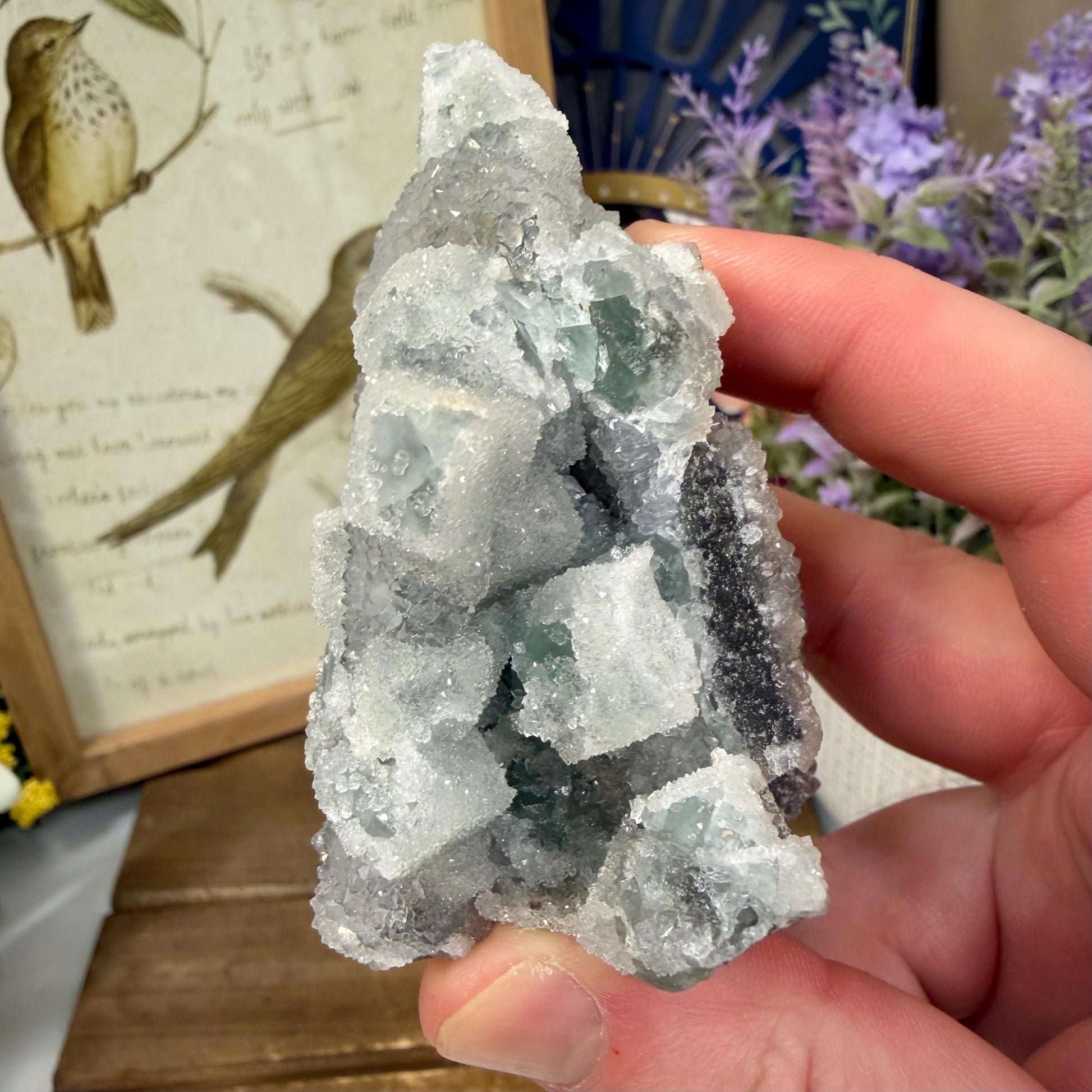 Sparkling Druzy Quartz on Cubic Fluorite | Quartz Epimorphs After Fluorite Cubes | Light Green Fluorite Mineral Specimen