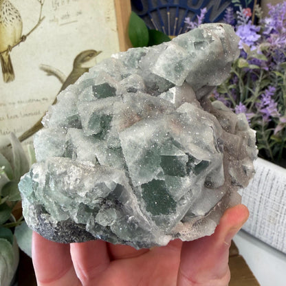 Sparkling Druzy Quartz on Cubic Fluorite | Quartz Epimorphs After Fluorite Cubes | Light Green Fluorite Specimen