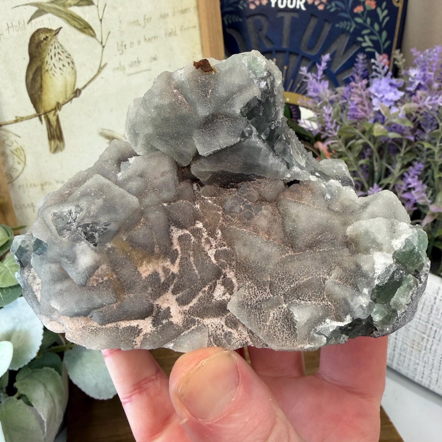 Sparkling Druzy Quartz on Cubic Fluorite | Quartz Epimorphs After Fluorite Cubes | Light Green Fluorite Specimen